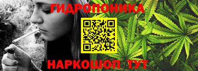 ГАЛЛЮЦИНОГЕННЫЕ ГРИБЫ Канаш