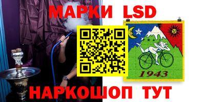 СК Камышлов