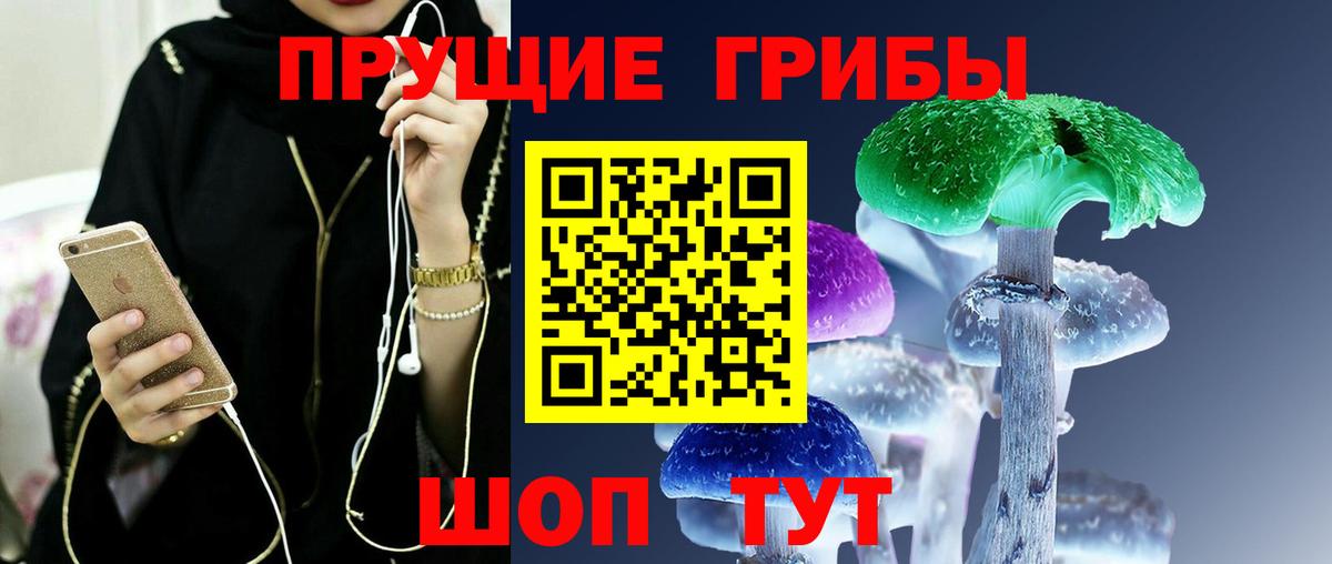 Ярцево  Галлюциногенные грибы Psilocybe  Галлюциногенные грибы Psilocybine cubensis  Вход с VPN 